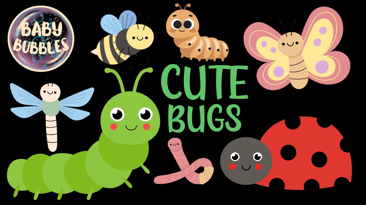 Baby Sensory Video. Cute Bugs! High Contrast Video. #babysensory #babydevelopment #babyfun