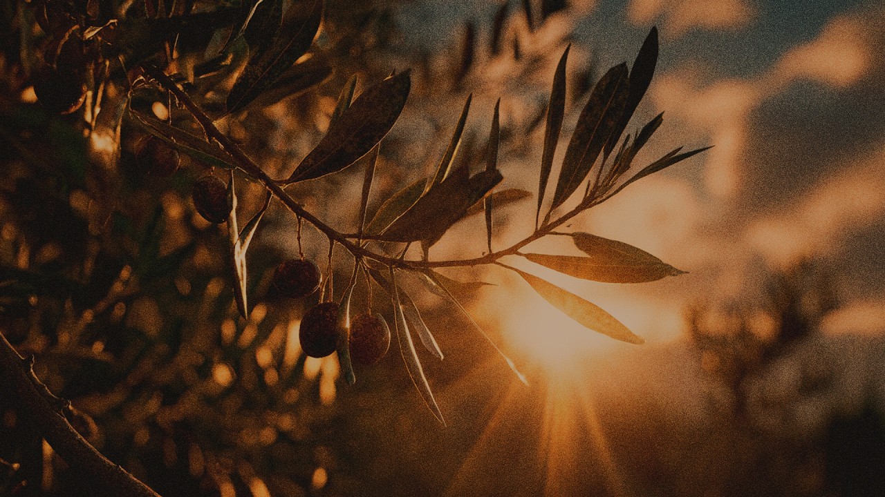 Seeking calm amid global chaos | piano music instrumental Catholic lofi