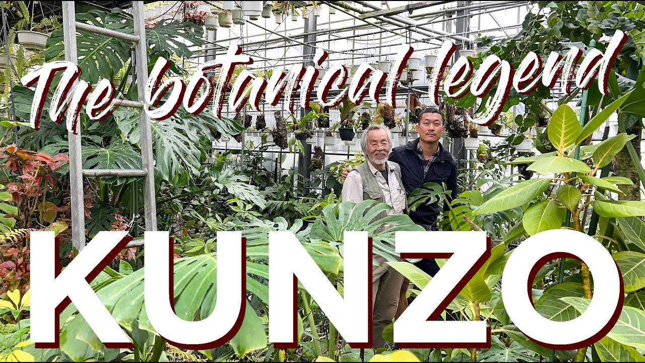 Inside the RAREST Plant 🪴 Nursery in 🇯🇵 Japan - Hanauchu | Private Tour with Master KUNZO Himself!