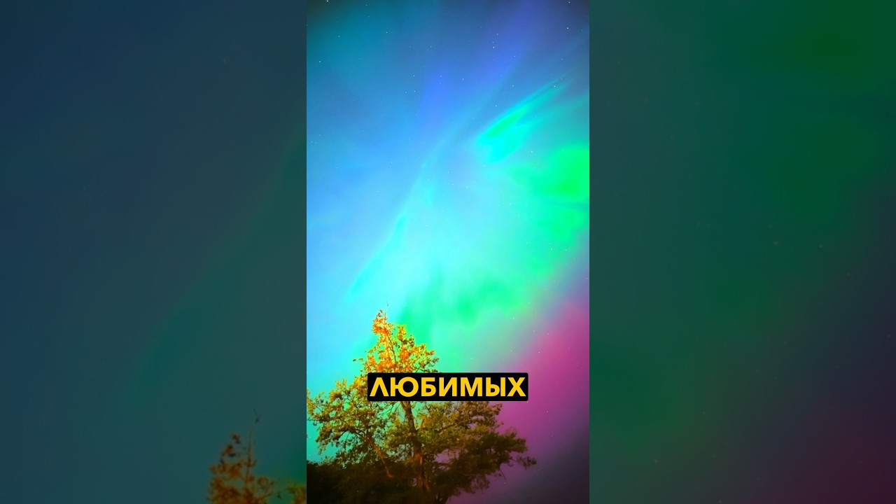 Ценность любви: самое важное, что мы можем взять с собой, 