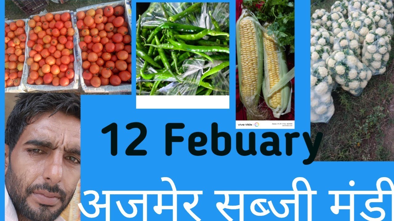  अजमेर सब्जी मंडी February 12, 2026