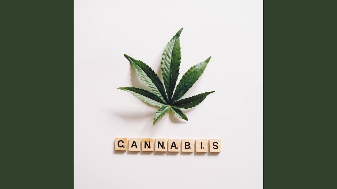 CANNABIS