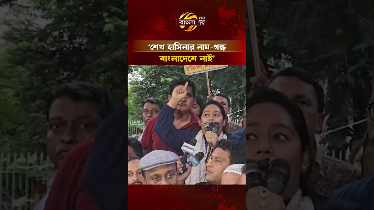 শেখ হাসিনার নাম-গন্ধ বাংলাদেশে নাই: তুলি | Bangla TV