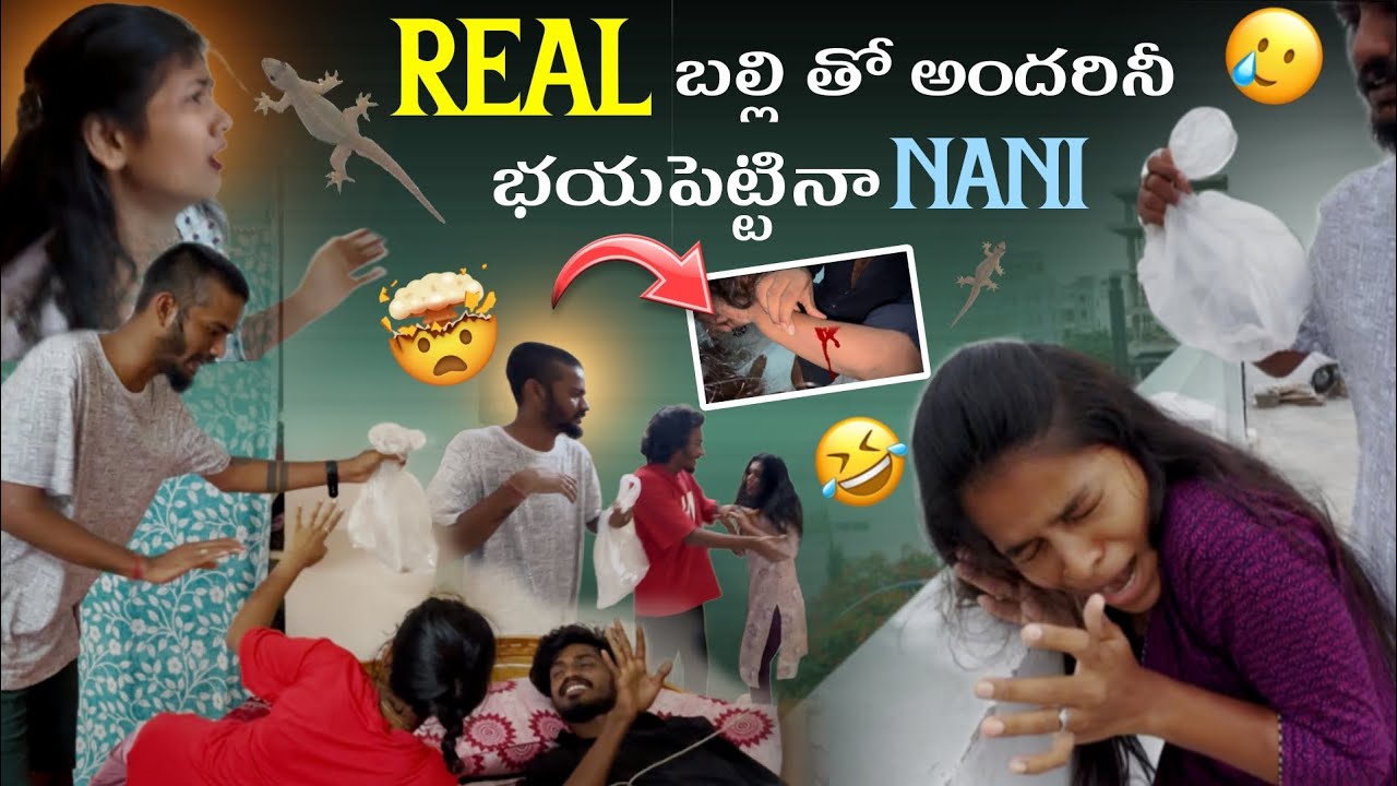Real బల్లి తో అందరినీ భయపెట్టినా nani @Rishi_ Stylish_official