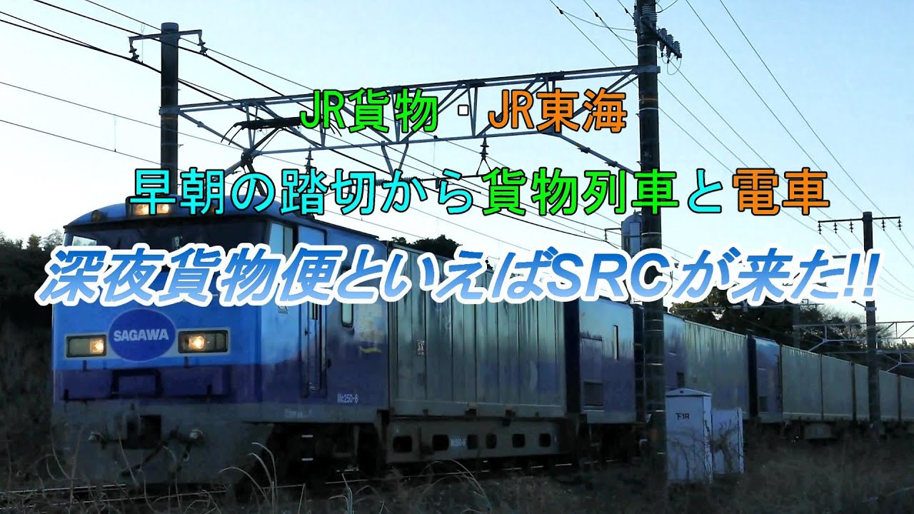 JR貨物・JR東海 気温2度の踏切から貨物列車と電車 貨物列車深夜便の顔と言えばSRCが来た!!