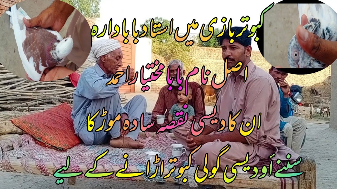 interview star Baba Dara Kabootar Baaz  65/12
