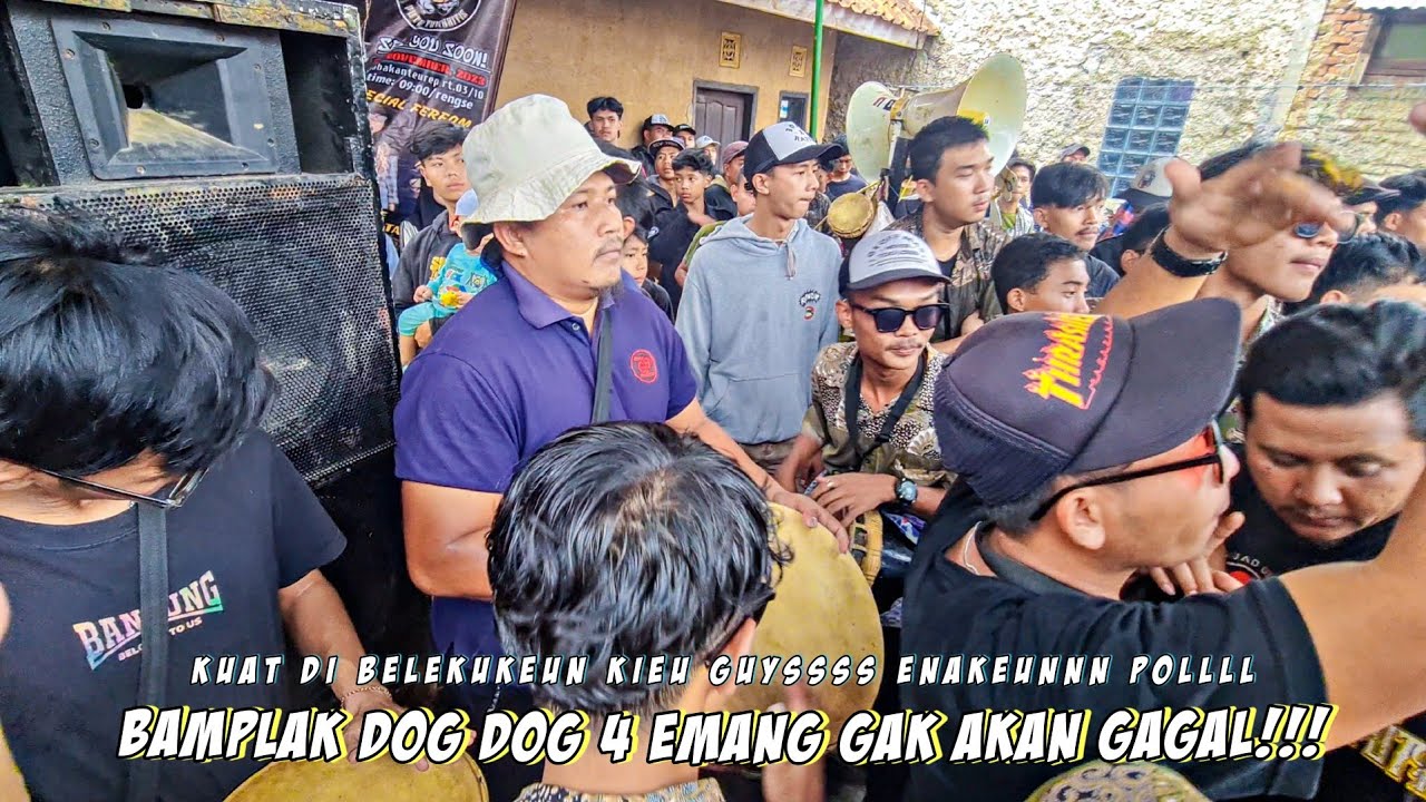 ENAKEUN POLL BAMPLAKNYA!!! DOG DOG 4 GAK AKAN GAGAL - Seni Reak Putra Tumaritis