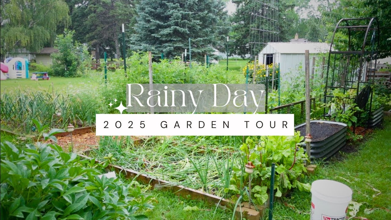🌧️ Rainy Day Garden Tour 🌿 | Backyard Garden Update | July Garden Growth & Tips