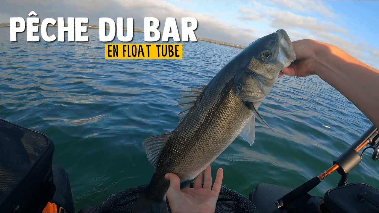 A la recherche du Bar et du Mulet en Float Tube sur les parcs à huîtres