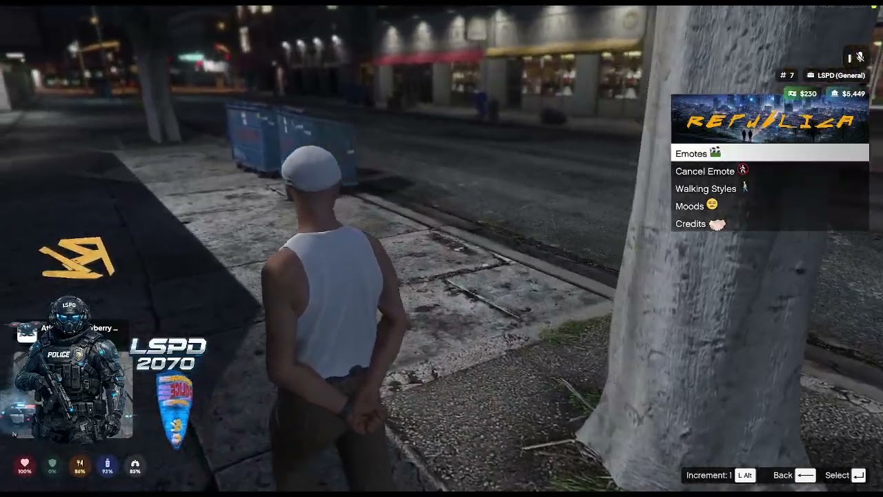 +18 [REPUBLICA] 2070   #CYBERLOOPS  inspiriert #LSPD