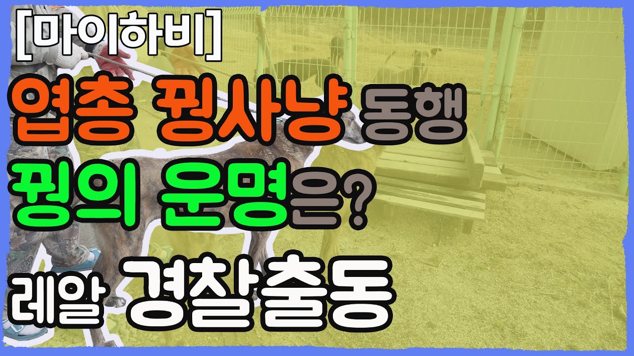 하고 싶다! - 사냥개 포인 ,엽총 꿩사냥 동행 - 꿩의 운명은? 레알 경찰출동 #꿩사냥 #사냥개 #KoreanPheasantHunt #huntingdog