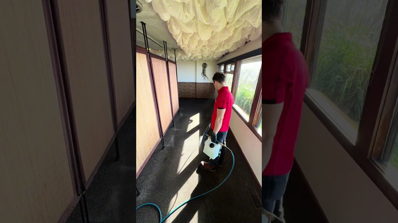 Scenic Restaurant + Satisfying Carpet Clean