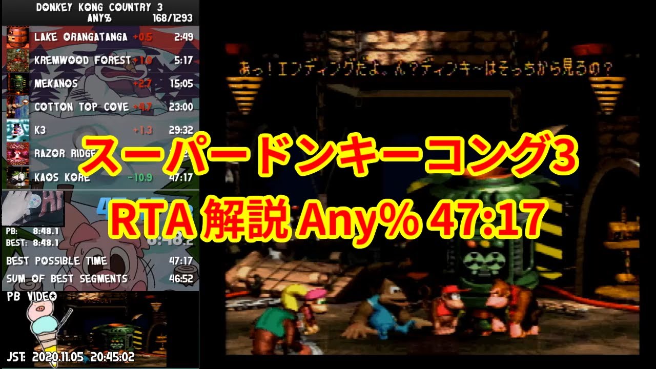 【RTA】スーパードンキーコング3 Any% 47:17【解説】