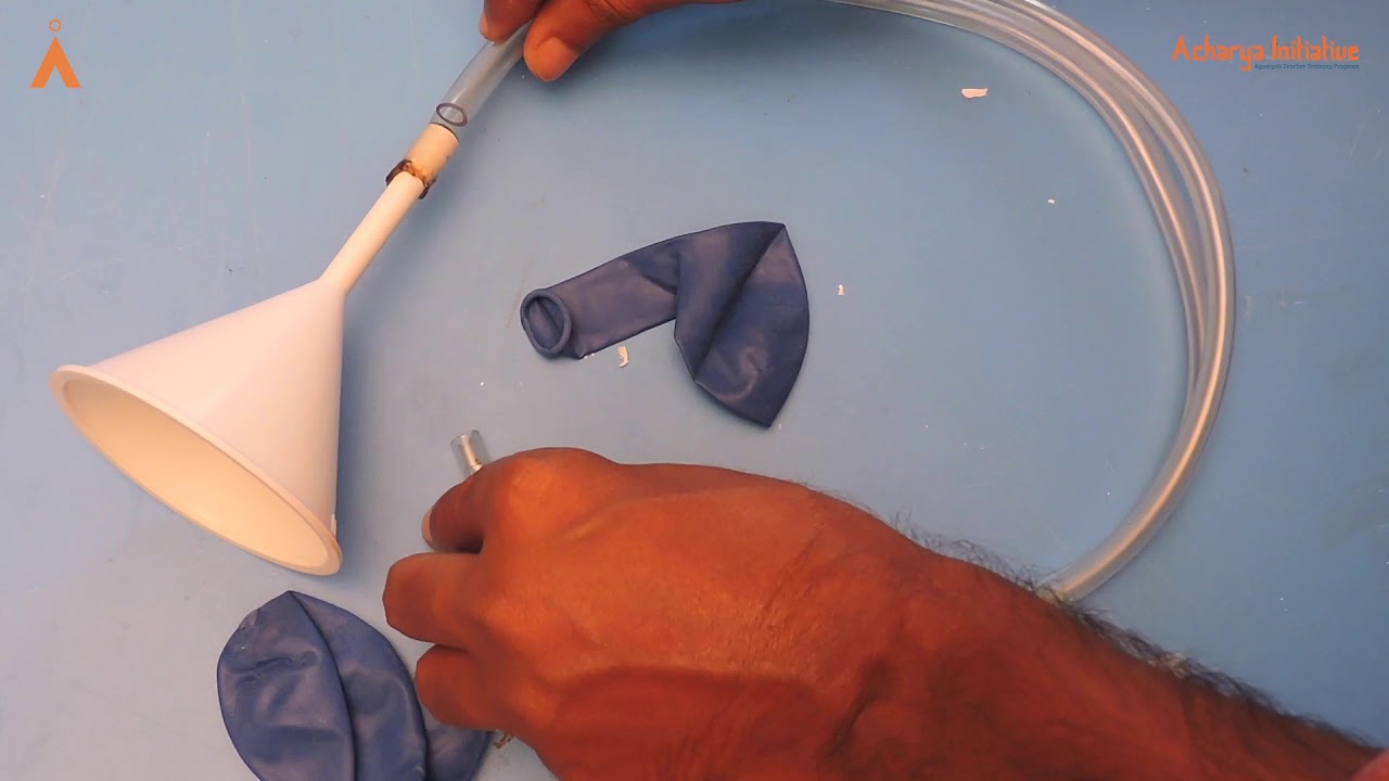 Stethoscope Model I Biology Experiment I Make Your Own Lab Series
