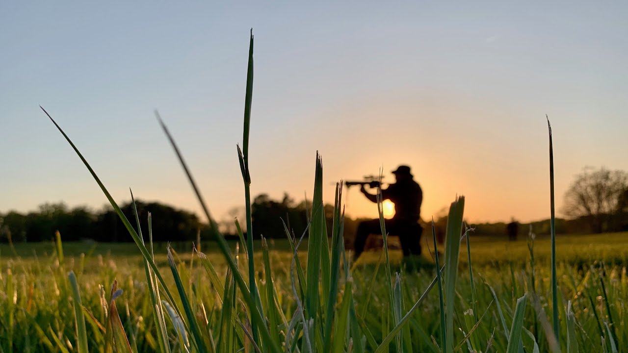 USMC TBS Bravo Company 2-22 Mess Night Video