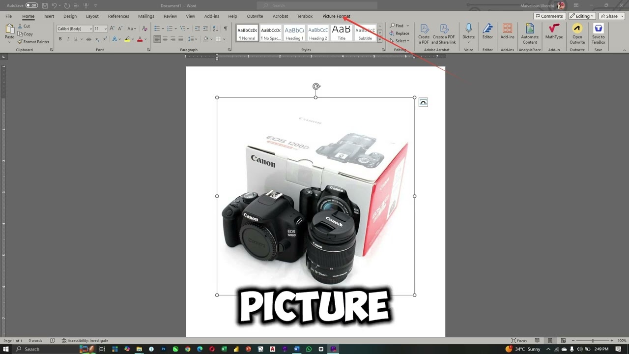 INSERT AND FORMAT PICTURES | MS WORD TIPS
