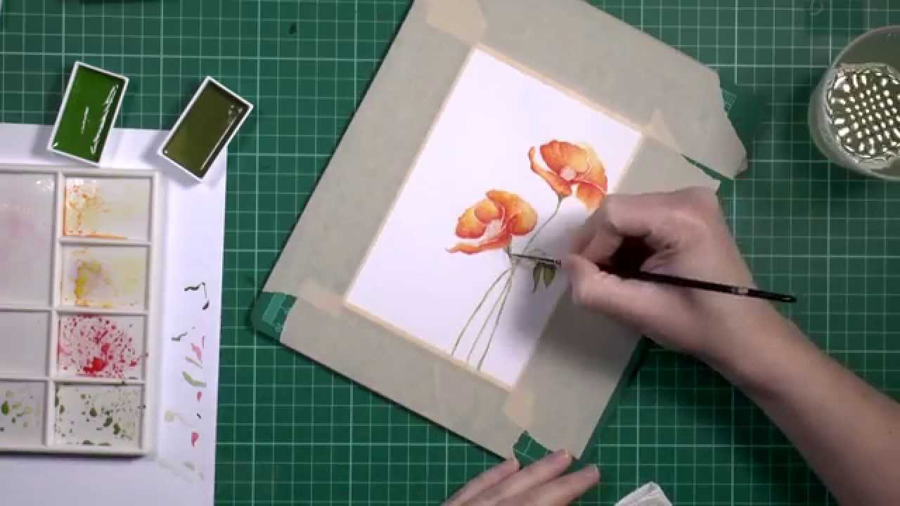 Poppy with water colours