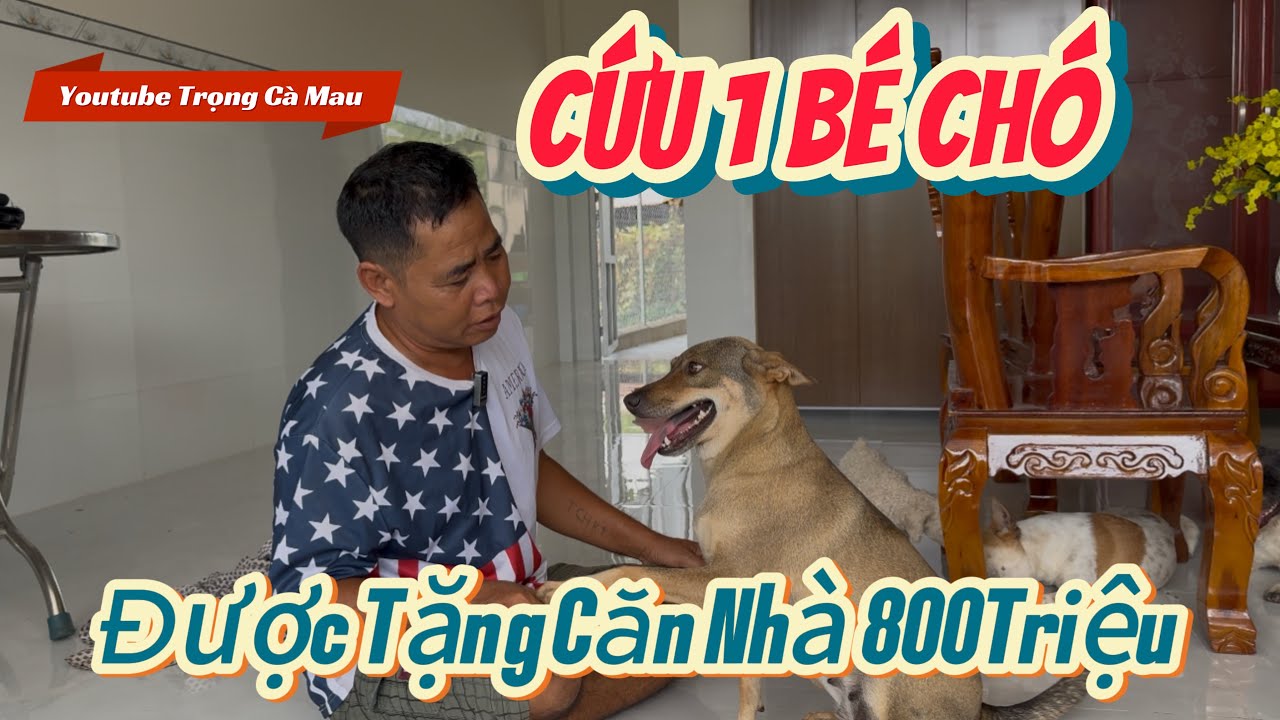 Tập 168 : Người Đàn Ông cứu một bé chó Trong thùng rác và cái kết được tặng cả căn nhà gần 1 tỷ