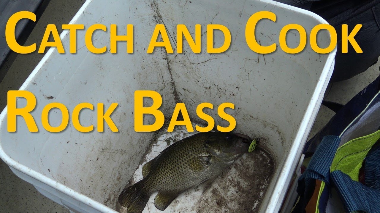 Catch and Cook Rock Bass