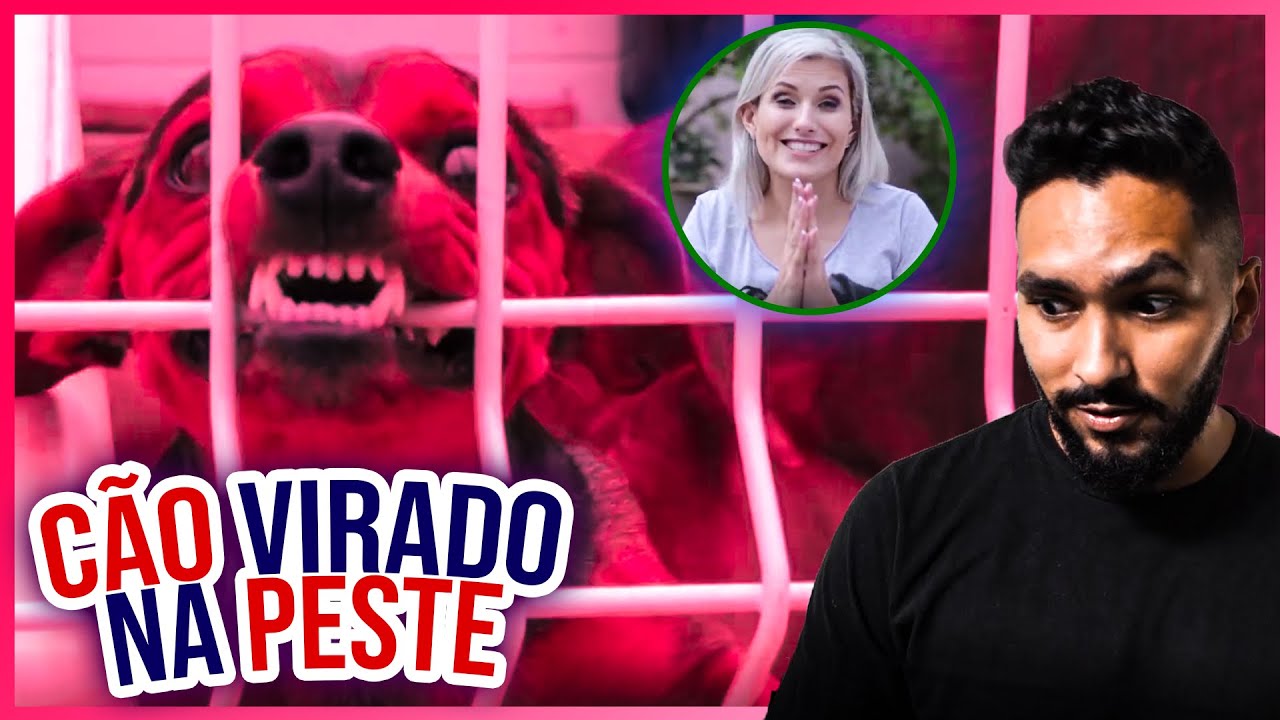 COMO ENSINAR CACHORRO AGRESSIVO... ADESTRAMENTO