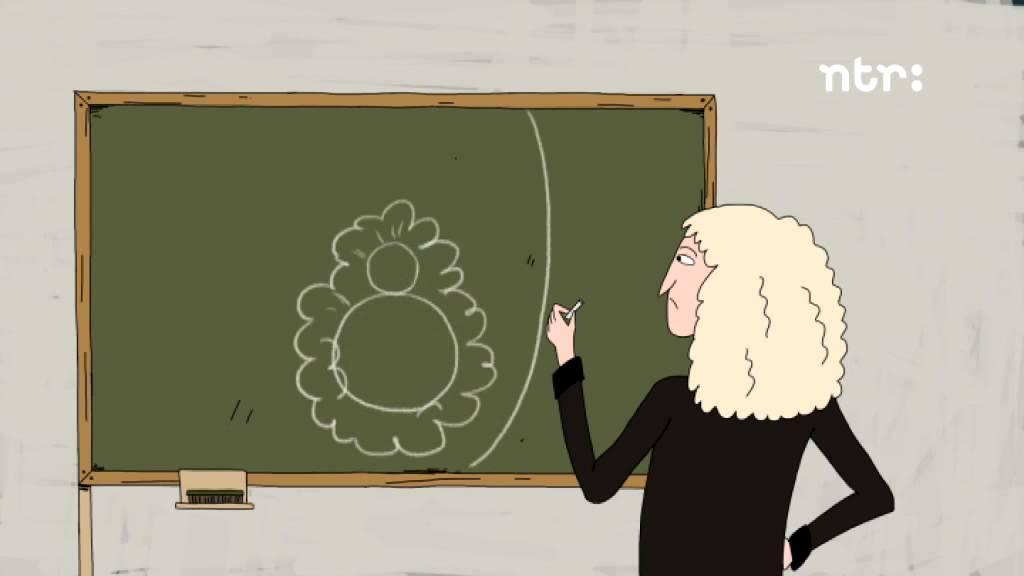 Wat is zwaartekracht?