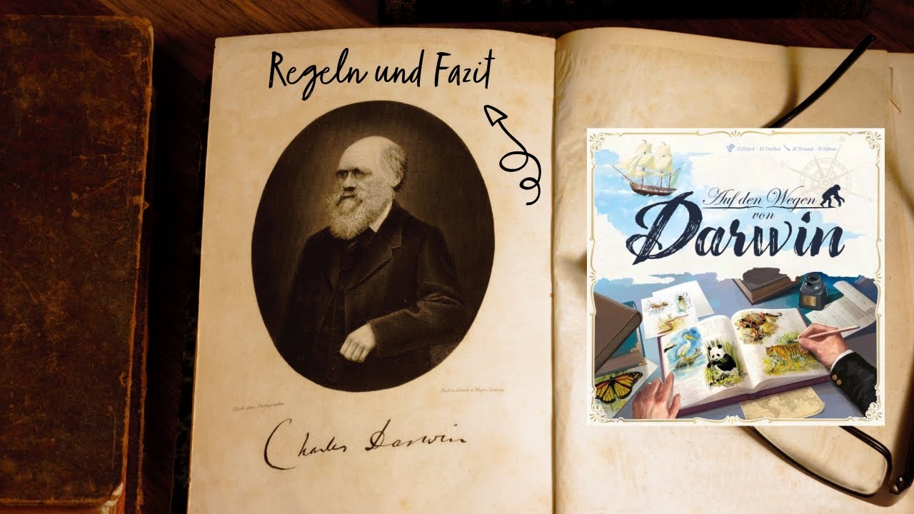 Auf den Wegen von Darwin Regeln und Fazit