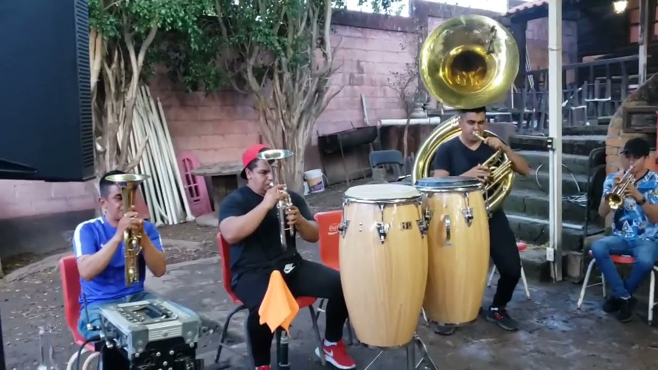 Banda El Rosario - El Son Del Gallito🐓💯👌