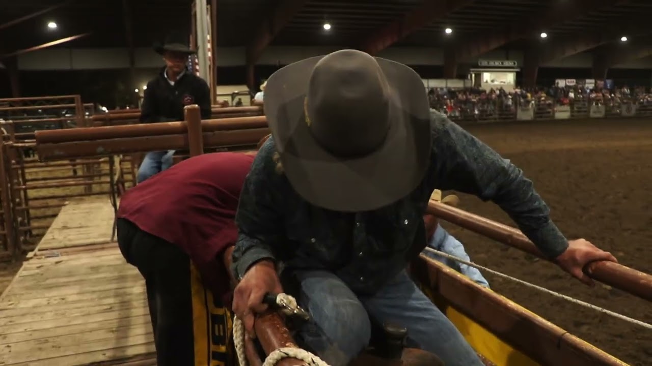 Live Oak Rodeo Bronc riding
