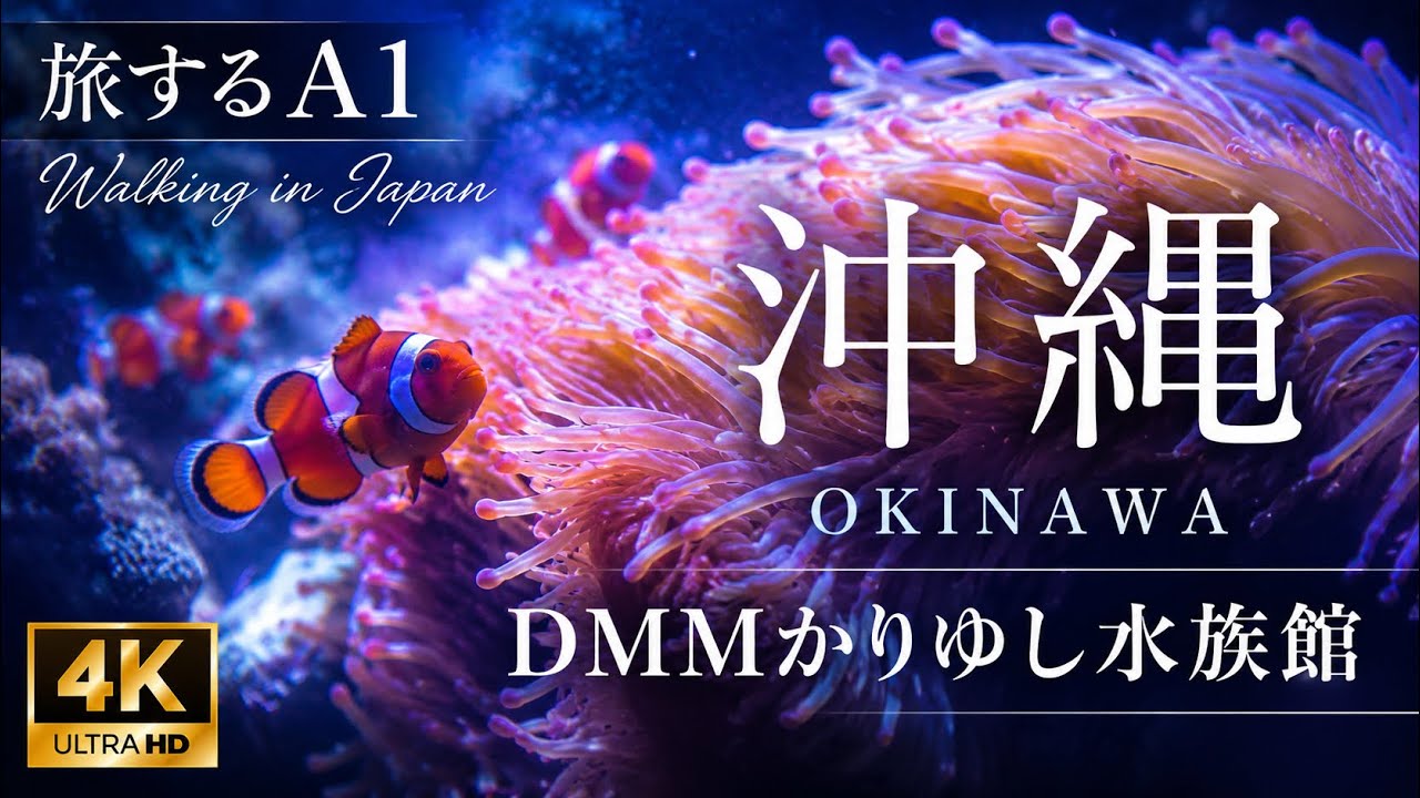 [🇯🇵沖縄水族館] リアルとデジタルが出会う、沖縄の海 DMMかりゆし水族館#旅行 #vlog #観光 #travel #沖縄 