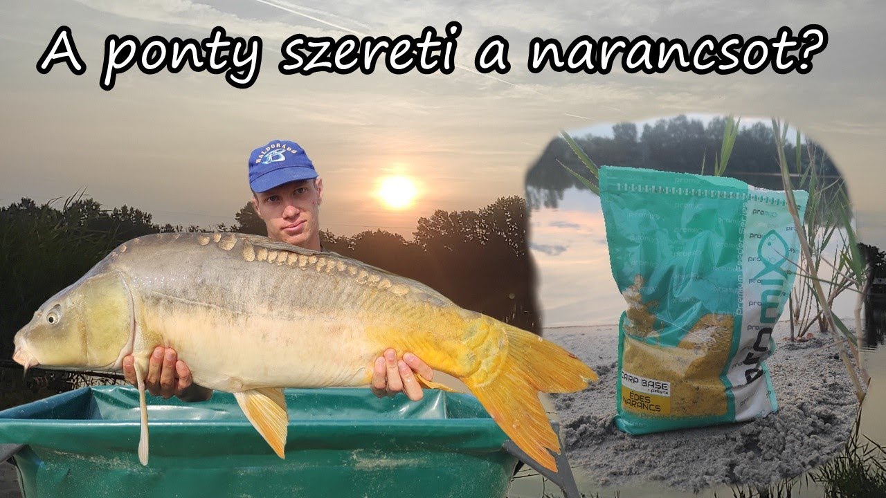 Rapid Method 10. rész - A ponty szereti a narancsot?