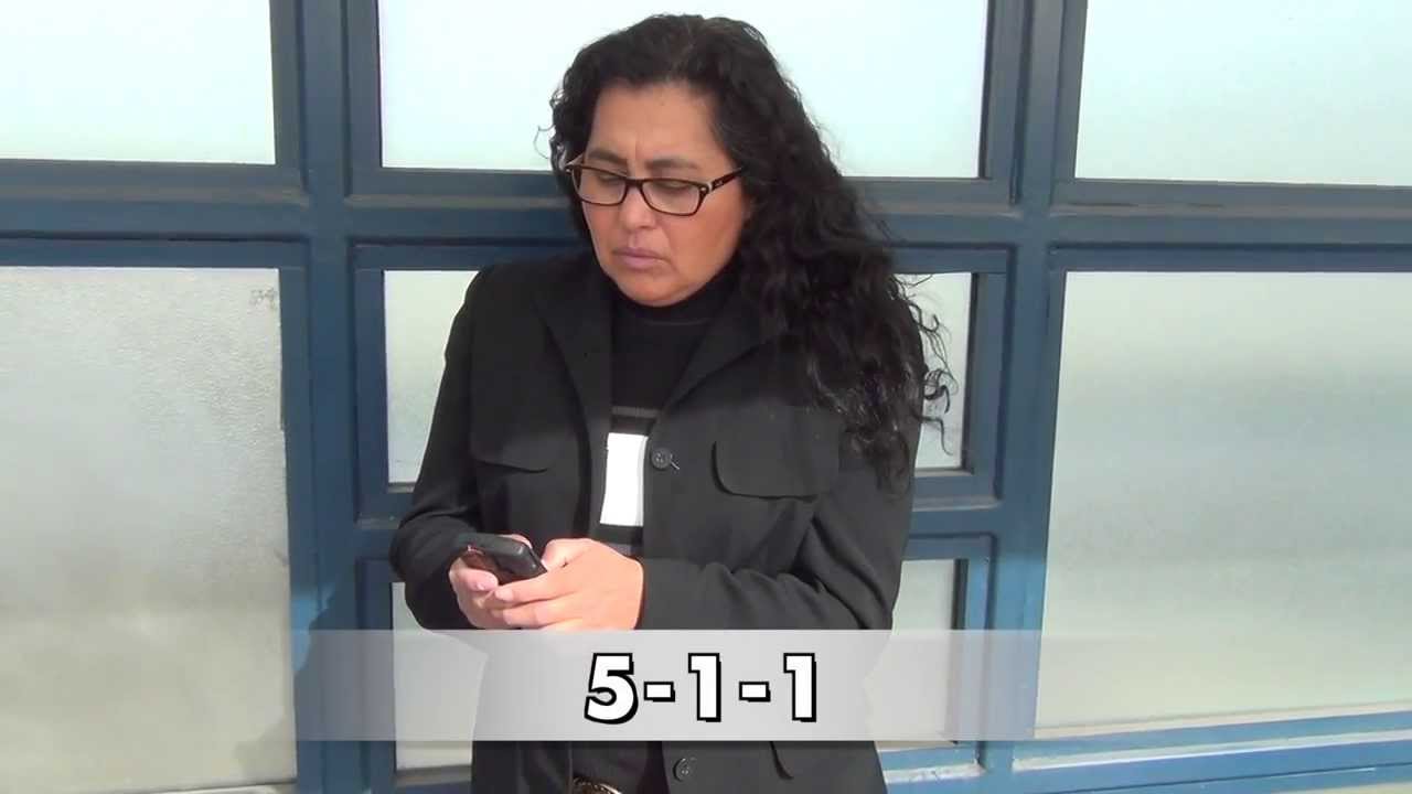 Real Time Information (RTI) - Telephone