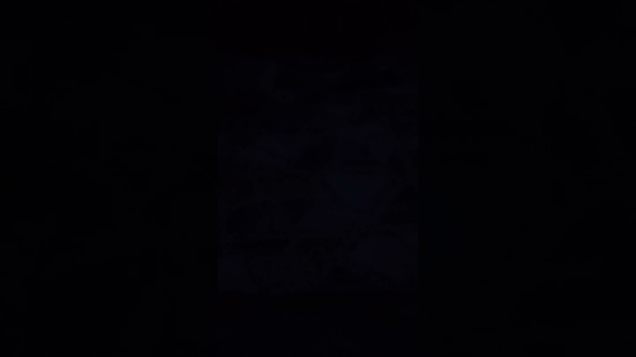 #ستوريات @almajdchannels