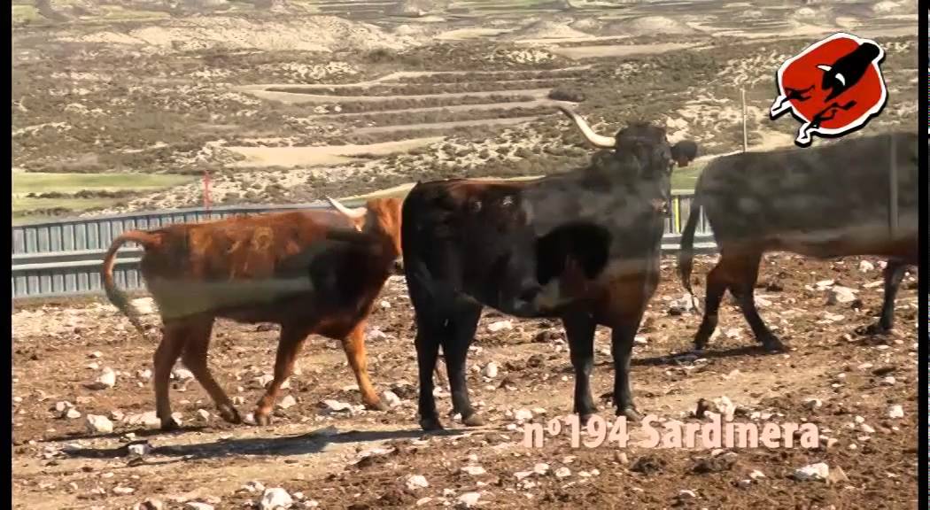 JESÚS MARCEN REPORTAJE