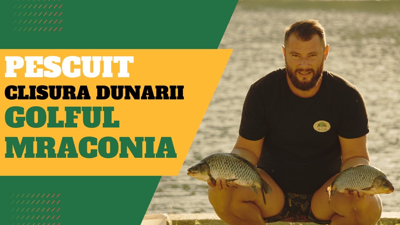 Pescuit Cazanele Dunarii dupa prohibiție, Golful Mraconia