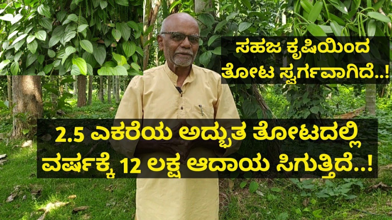 2.5 ಎಕರೆಯ ಅದ್ಭುತ ತೋಟದಲ್ಲಿ ವರ್ಷಕ್ಕೆ 12 ಲಕ್ಷ ಆದಾಯ ಸಿಗುತ್ತಿದೆ..!ಸಹಜ ಕೃಷಿಯಿಂದ ತೋಟ ಸ್ವರ್ಗವಾಗಿದೆ..!