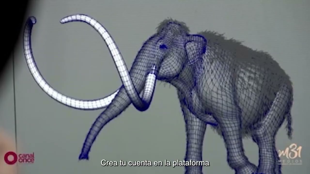 Programa de Estímulo a la Creación y Desarrollo Artístico (PECDA) 2025 del Sistema de Creación