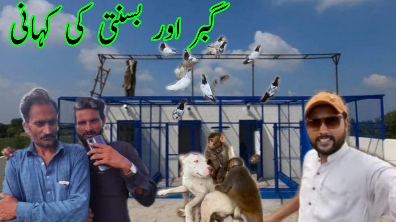 Talha Ghouri ki Reality| Talha GhouriExpose|Ghabbar aur Basanti Story