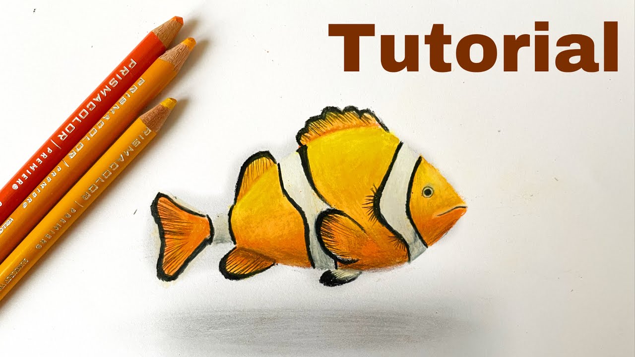 Fish Tutorial | Color Pencil