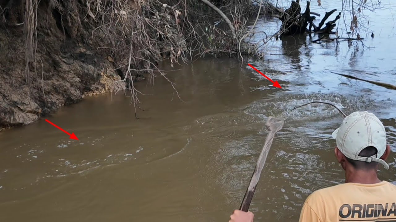 3 HARI MANCING JORAN BAMBU MENGANGKAT JEBAKAN & CASTING