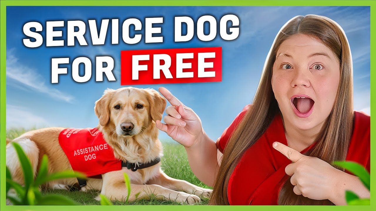 FREE Service Dogs: 10 Agencies for Low Income—Apply Now!