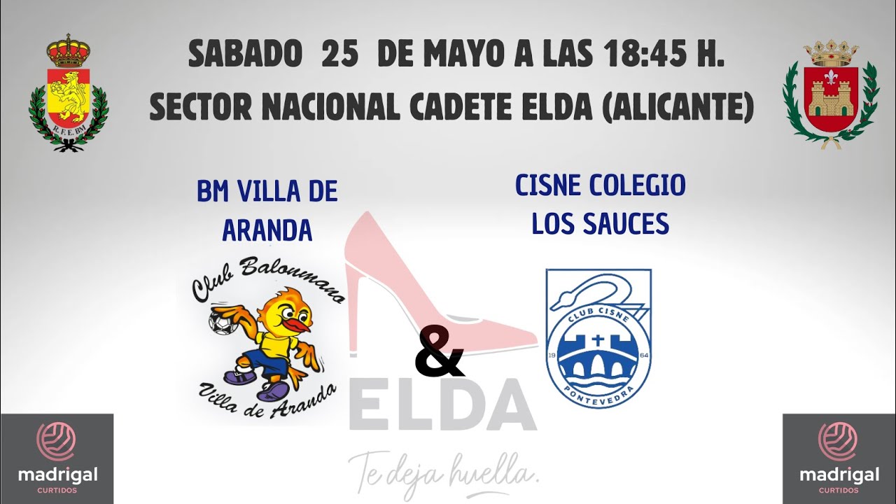 BM VILLA DE ARANDA - CISNE COLEGIO LOS SAUCES