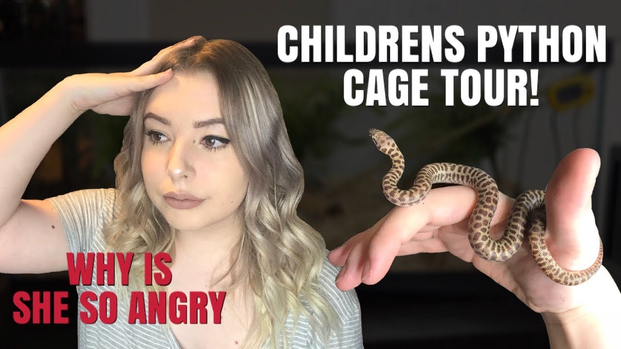 MEET MY TINY, ANGRY SNAKE! + CAGE TOUR! | Childrens Python