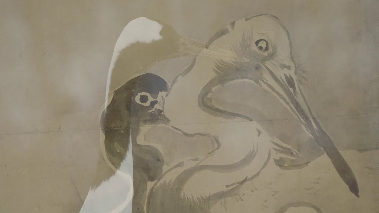Edo Avant Garde - trailer