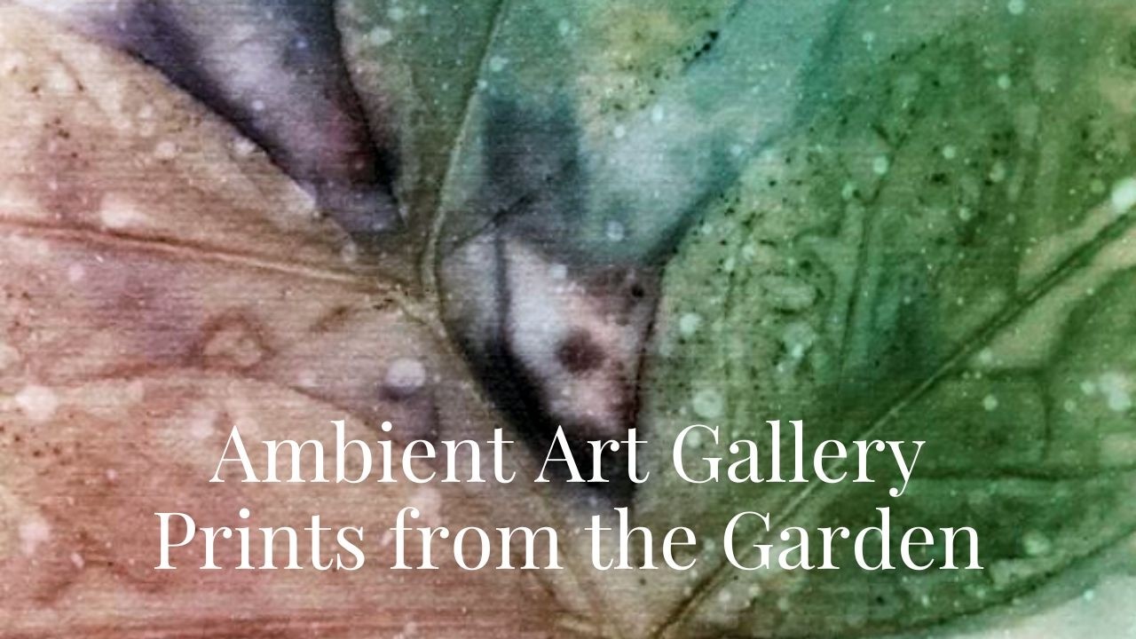 Botanical Prints | Ambient Art Gallery