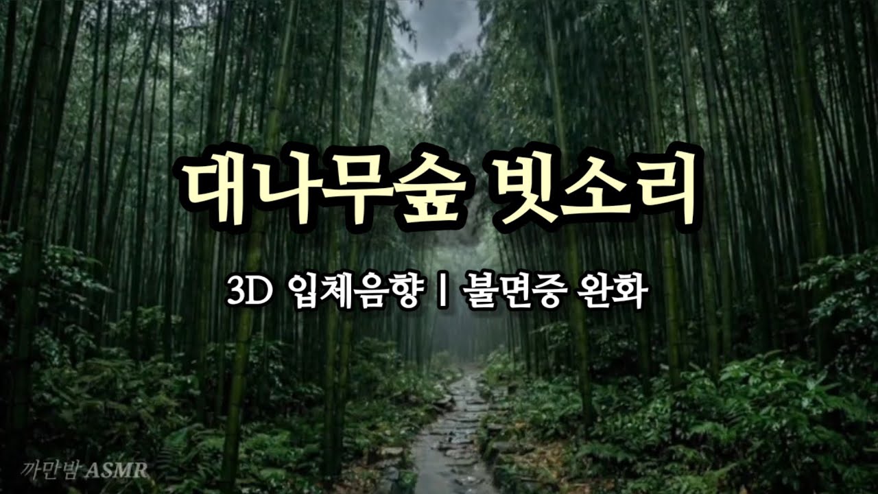 [ASMR] 불면증 완화 빗소리 3시간 🌧️ 깊은 수면을 돕는 3D 입체 음향 | Rain on Leaves 3HRS