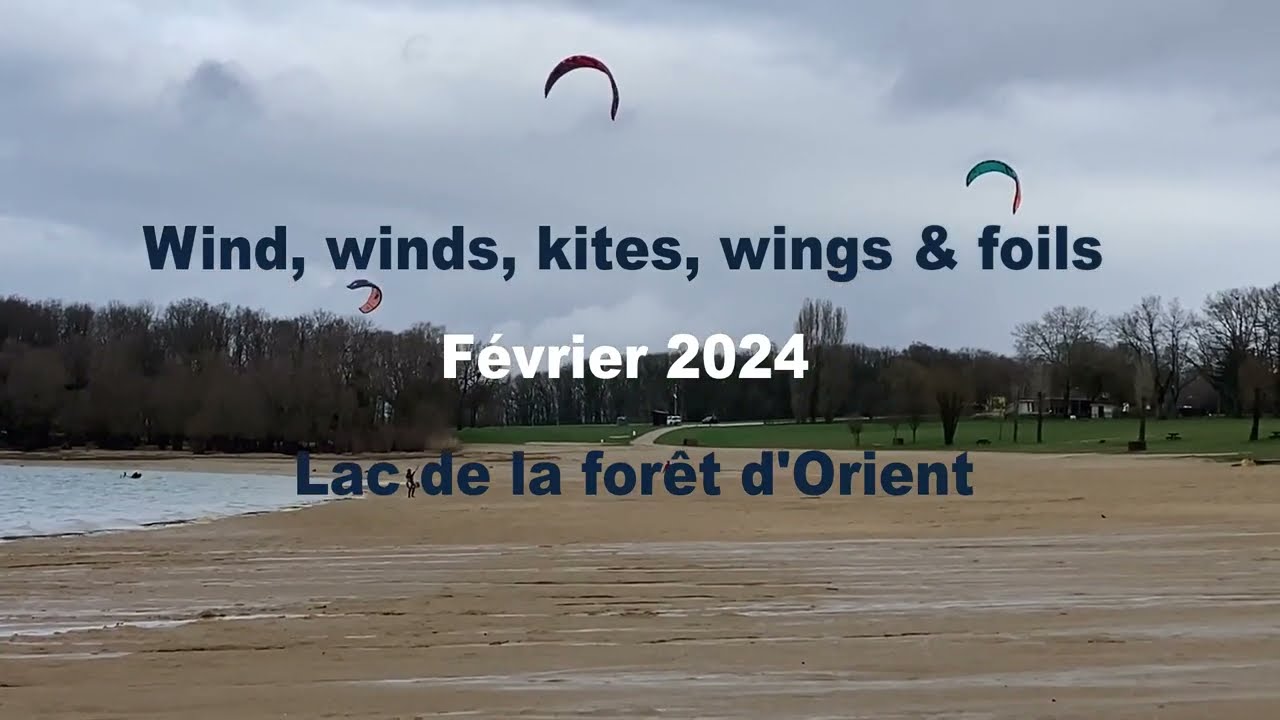 Lac de la forêt d'Orient - Wind, winds, kites, wings & foils - Février 2024