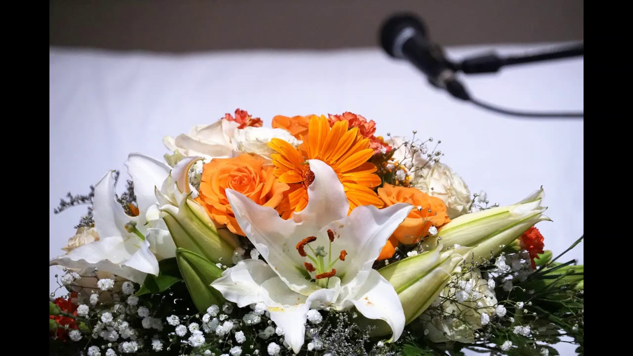 පැහැදිලි ශබ්දයකින් යුතු -  පරම ගාම්බීර වූ මාහා සිංහ නාදය