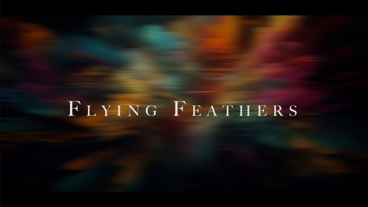 Flying Feathers