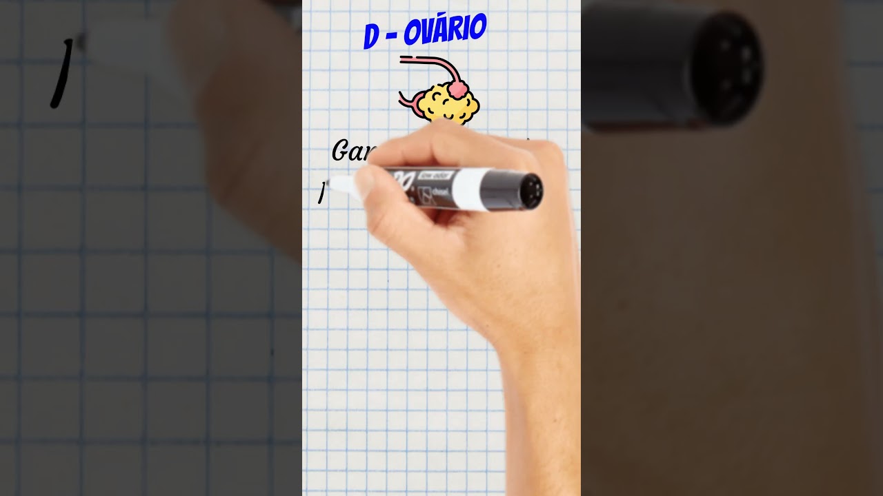 QUAL &Oacute;RG&Atilde;O DA MULHER PRODUZ GAMETAS FEMININOS? #desafios&oacute;voc&ecirc; #ci&ecirc;ncia