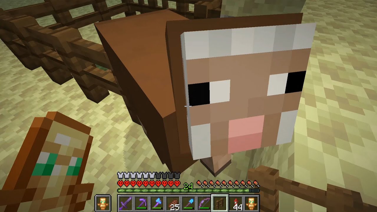 why i brought a sheep to the end on hardcore minecraft